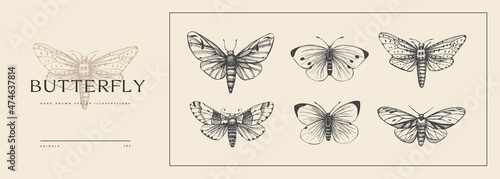 Set of hand-drawn butterflies. Insects in vintage style. Vector illustration for animalistic background. Design element for postcard, poster, cover, invitation.