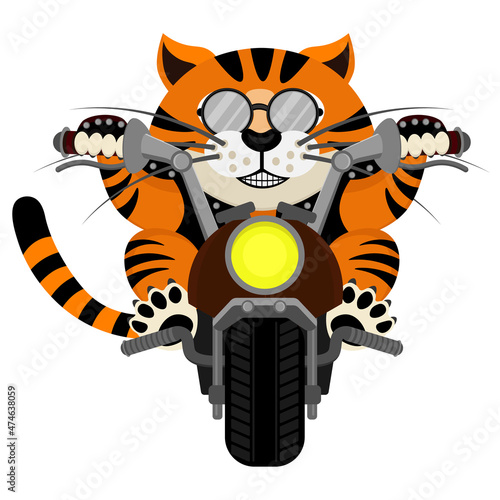The biker cat. Vector illustration of a tiger motorcyclist.