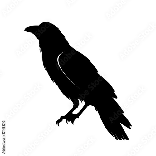 raven silhouette vector illustration Crow Flat Logo Icon Clipart