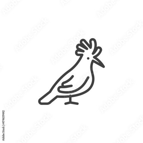 Hoopoe bird line icon