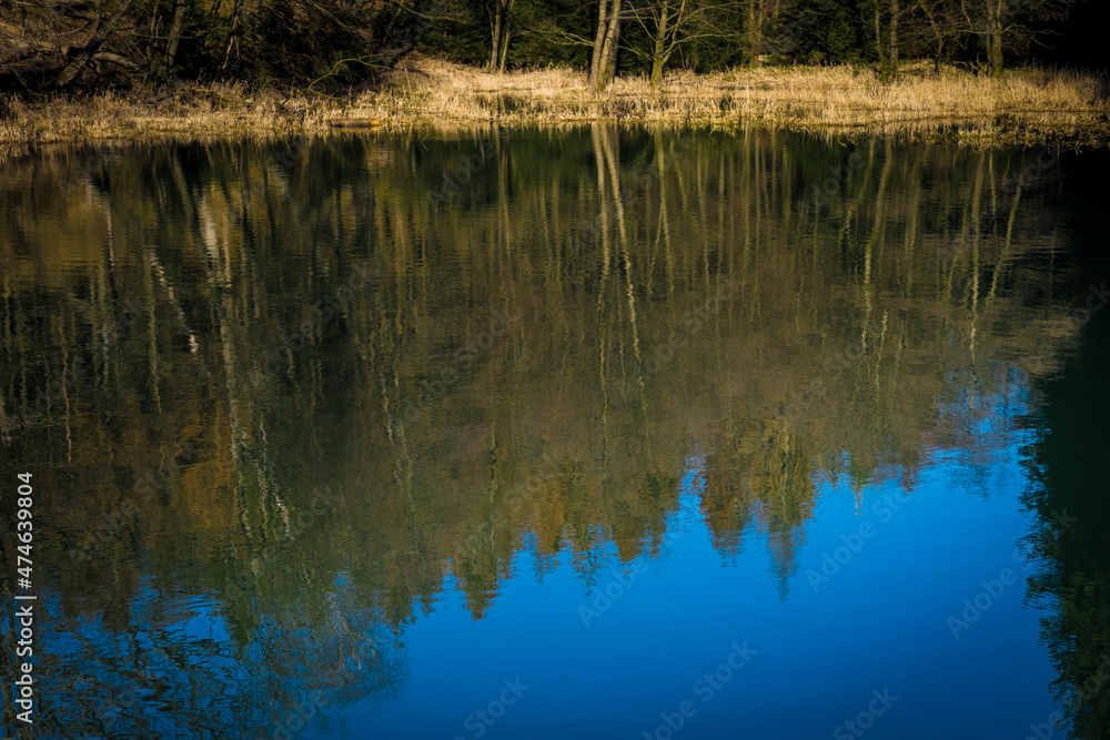reflection in water reflection in water