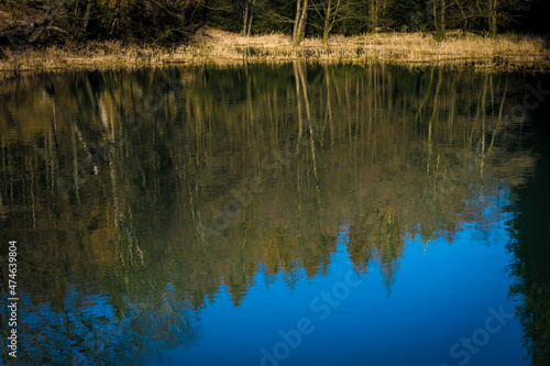 reflection in water