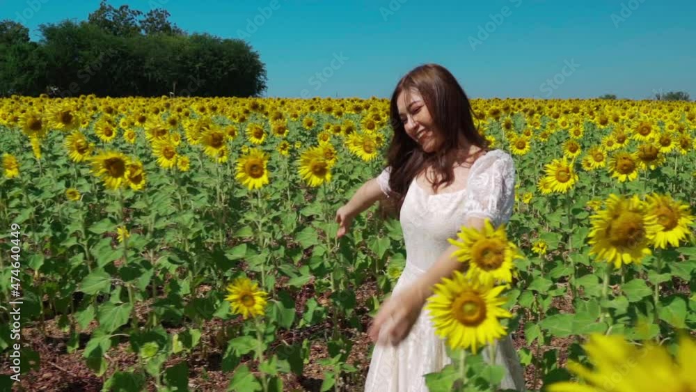 slow-motion of cheerful woman walking and enjoying with sunflower field slow-motion of cheerful woman walking and enjoying with sunflower field