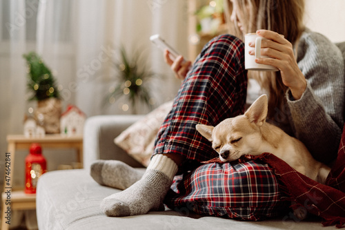 Cozy woman in knitted winter warm socks and sweater with sleeping dog and checkered plaid holding a cup of hot cocoa or coffee, during resting on couch at home in Christmas holidays. Winter drinks.