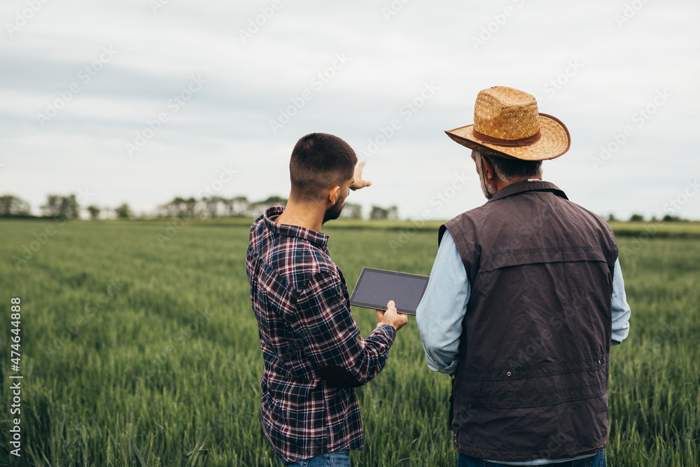 farmers talking outdoor on wheat field farmers talking outdoor on wheat field