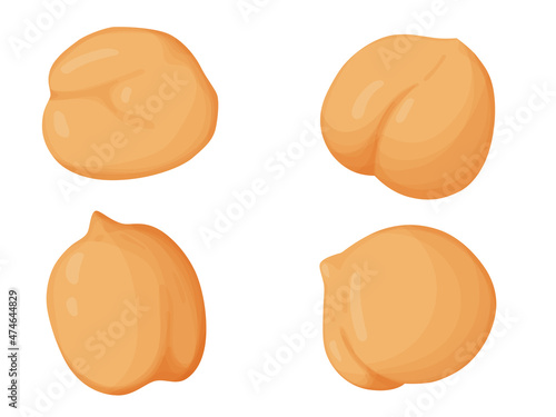 Chickpeas set. Vegetarian food drawing. Farm market product. 