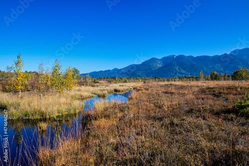 Fotografia Kendlmuehlfilz near Grassau, an upland moor in Southern Bavaria, Germany
