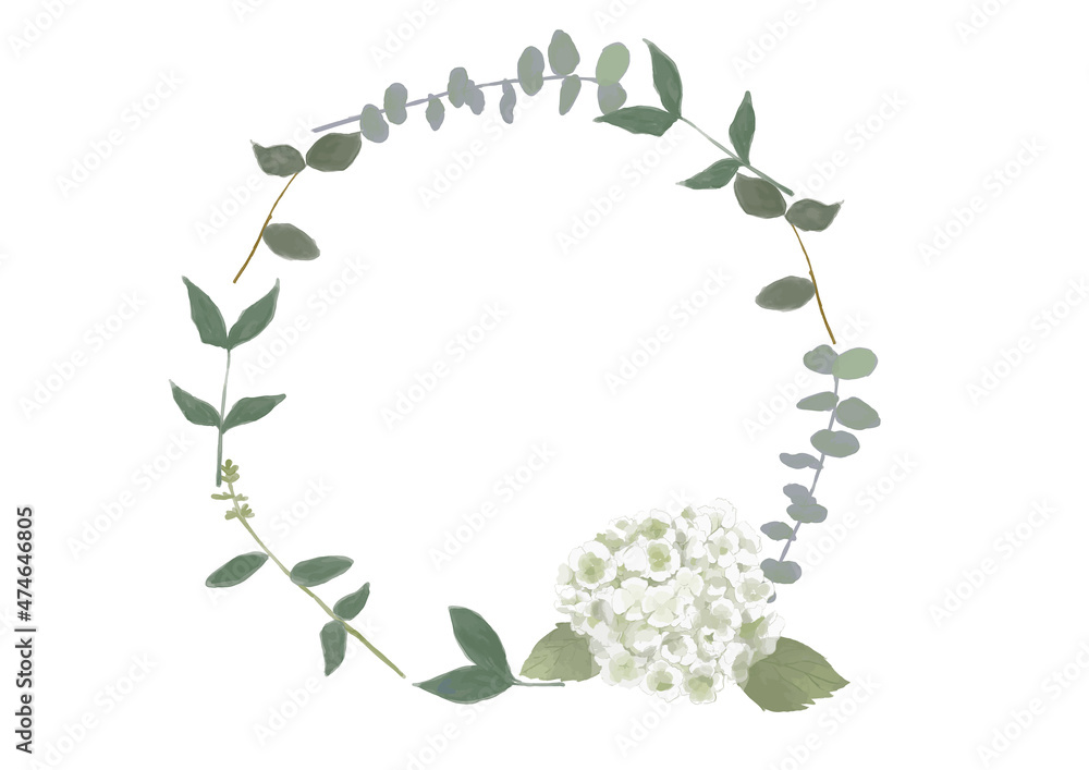 紫陽花の入ったリース 水彩風の手書きのイラスト 植物の緑と白い花 Stock Vektorgrafik Adobe Stock