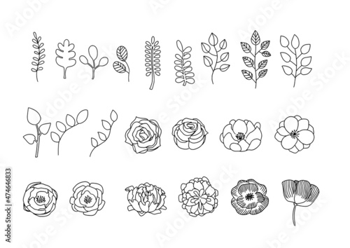 手描きの花や植物の葉のラインアート　背景透過　ボタニカルな要素のあしらいとして