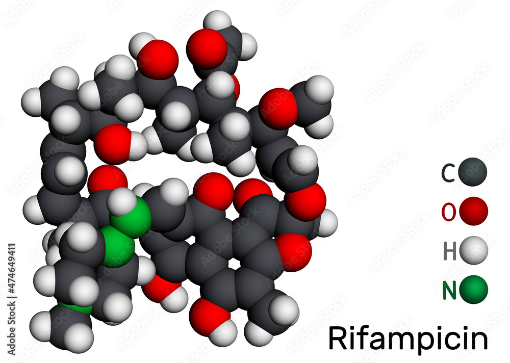 Rifampicin, rifampin molecule. It is semisynthetic antibiotic used to treat mycobacterial infections, leprosy, tuberculosis, Mycobacterium avium complex. Molecular model. 3D rendering