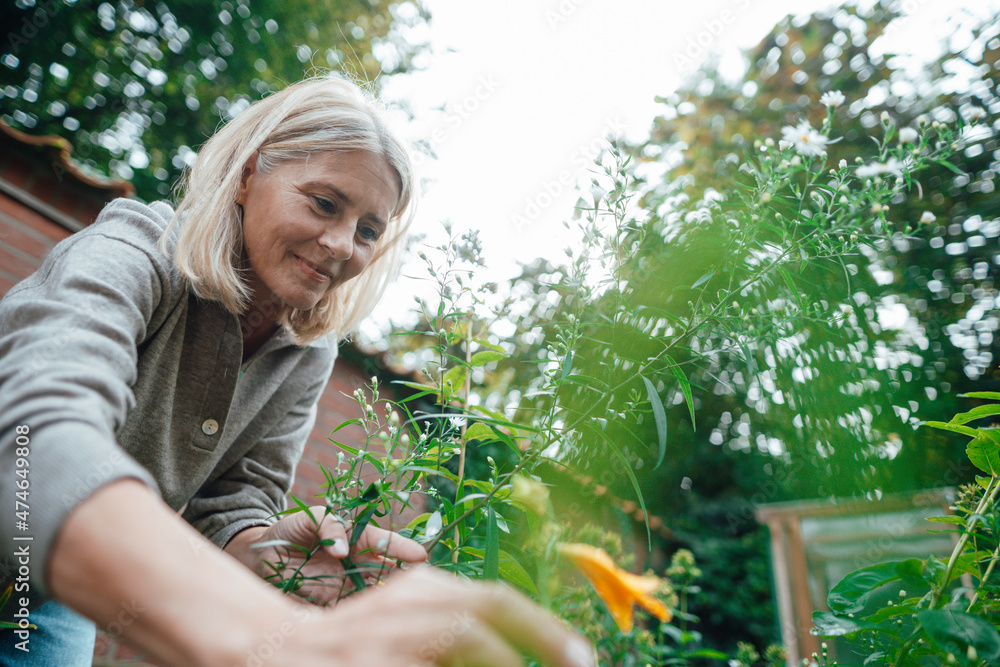 Smiling woman touching plant in garden Smiling woman touching plant in garden
