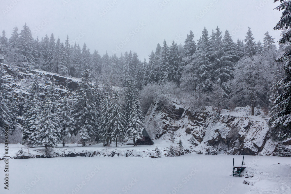 Fototapeta premium Schöne Winterlandschaft auf den Höhen des Thüringer Waldes bei Floh-Seligenthal - Thüringen