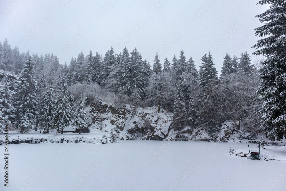 Fototapeta premium Schöne Winterlandschaft auf den Höhen des Thüringer Waldes bei Floh-Seligenthal - Thüringen