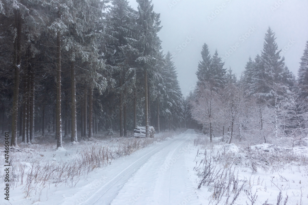 Fototapeta premium Schöne Winterlandschaft auf den Höhen des Thüringer Waldes bei Floh-Seligenthal - Thüringen