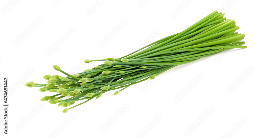 Chives flower or Chinese Chive isolated on white background. Chives flower or Chinese Chive isolated on white background.