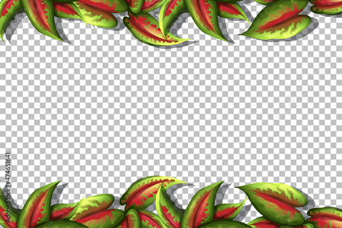 Green nature leaves frame transparent background