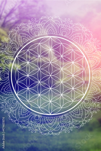 Sacred geometry zentangle inspired design template with oriental tribal ornaments. Flower of life ornamental new age art.