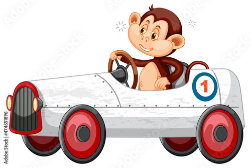 Little monkey driving white race car on white background