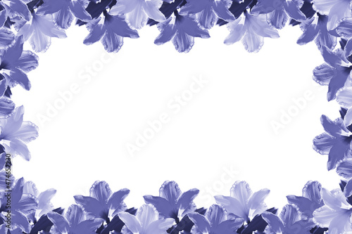 Frame made of lilac flowers. Copy space. Very Peri Color of the Year 2022