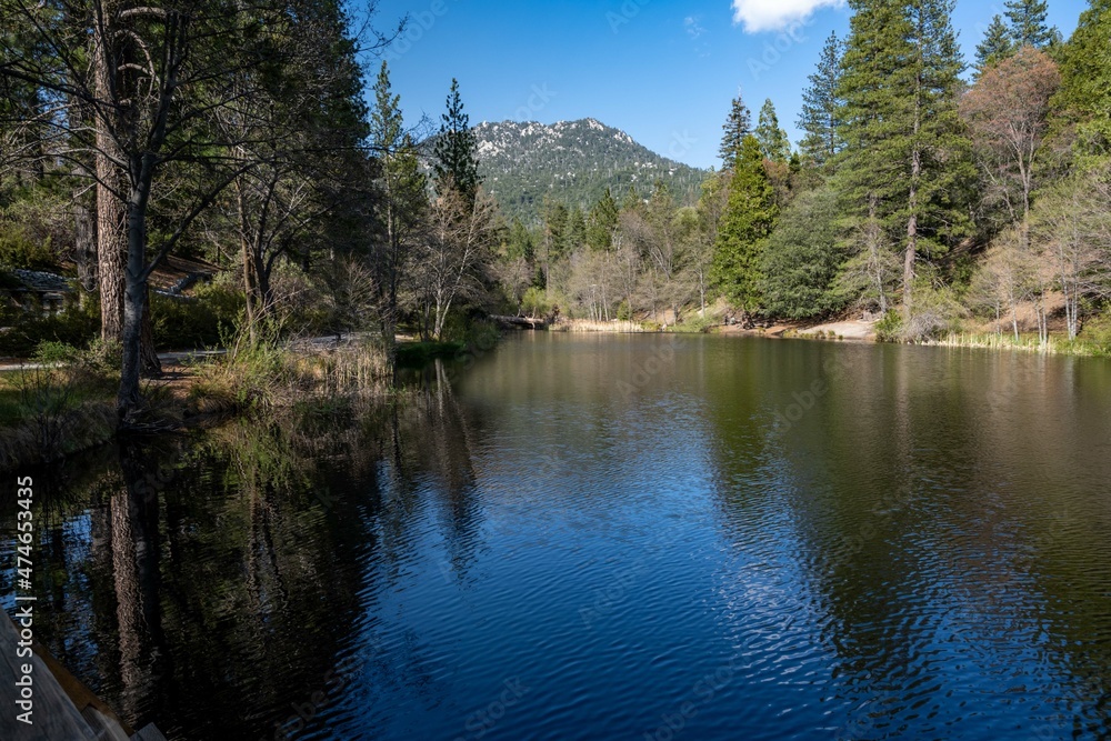 Naklejka premium Fulmor Lake Picnic Area in Idylwild, California