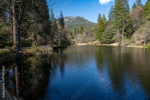 Fulmor Lake Picnic Area in Idylwild  California