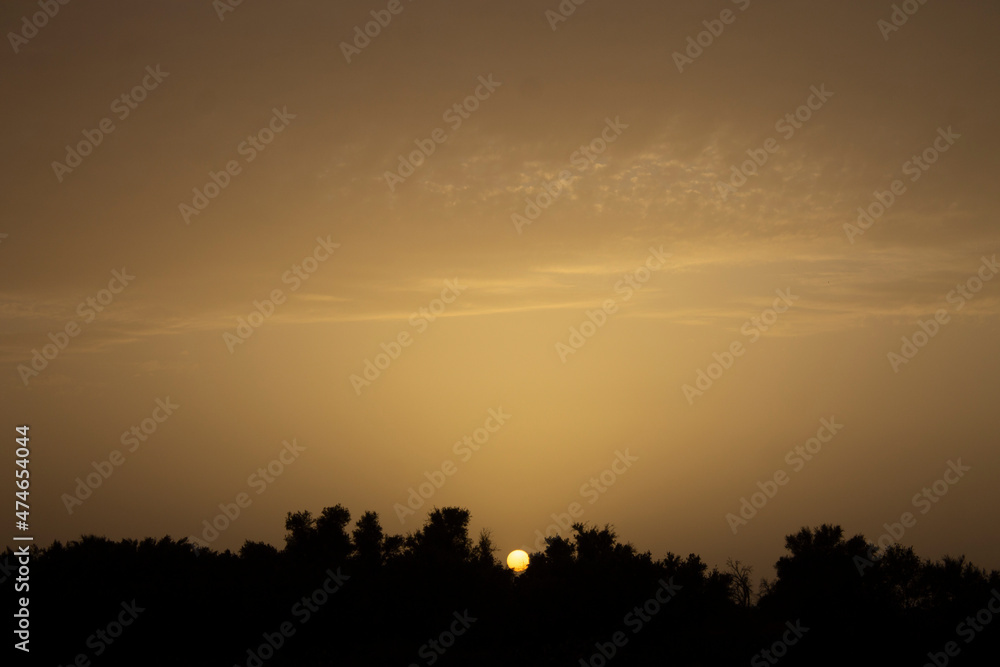 Sunset in the forest. Sun framed between forest trees during dusk. Sunset. Dusk. Dusk and forest. Jungle during sunset. Dusk sky. Forest background. Trees silhouette