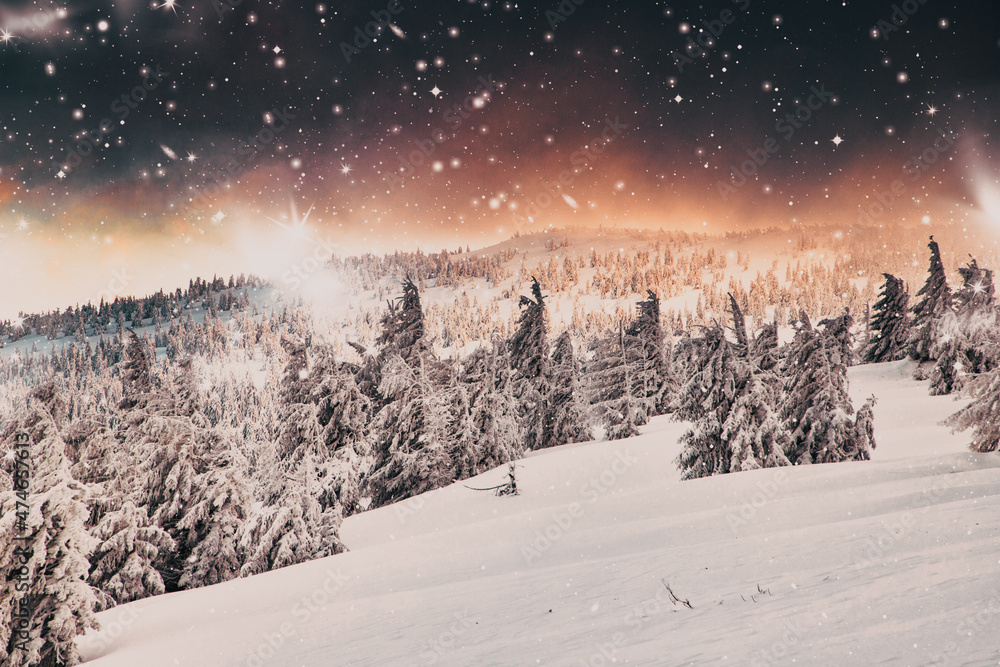 amazing winter wonderland landscape with snowy fir trees at night