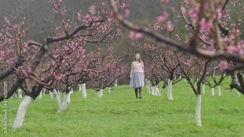 General plan a girl walks through a peach orchard in spring