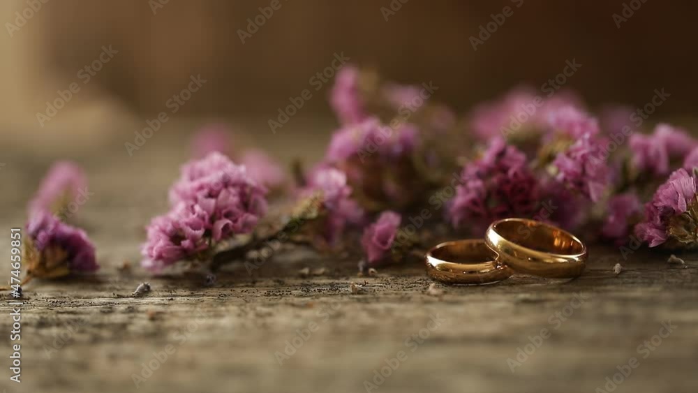 rings on a flower. Wedding day. Ring. Video. rings on a flower. Wedding day. Ring. Video.