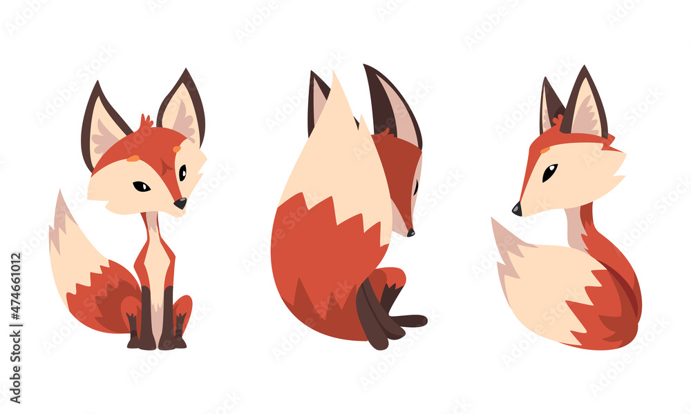 Cute Fox Character With Bushy Brush Tail And Triangular Ears Vector Set Stock Vector Adobe Stock