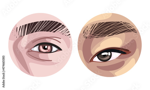 Human Eye of Various Color as Sense Organ with Brow Vector Set