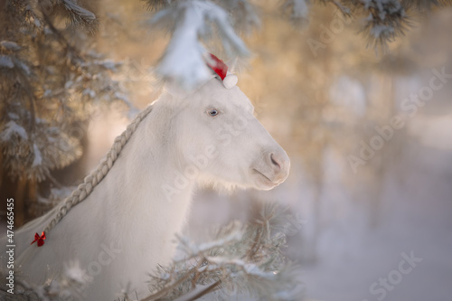 Little cute white Christmas pony