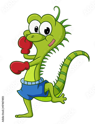 The strong iguana is doing the boxing for the battle