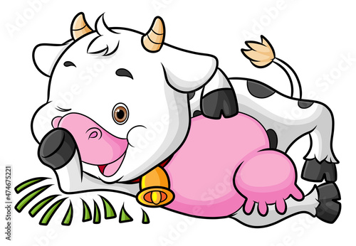 The happy fat cow is laying down on the grass