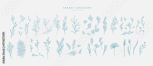 Floral branch and minimalist flowers for logo or tattoo. Hand drawn line wedding herb, elegant leaves for invitation save the date card. Botanical rustic trendy greenery