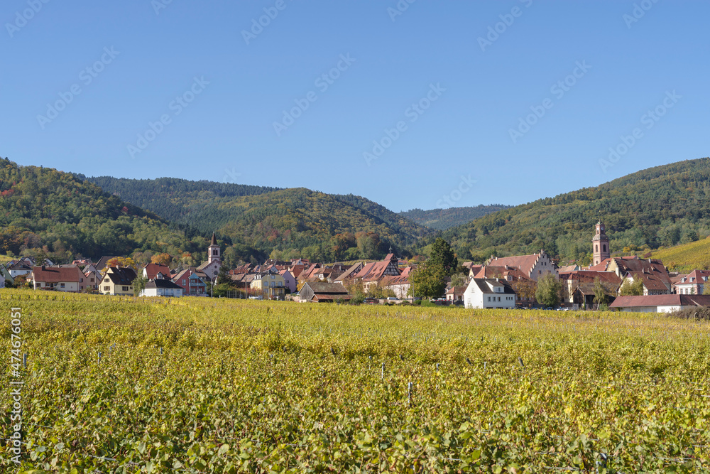 Alsatian village of Riquewihr surrounded by its famous vineyard in autumn, Grand Est, France