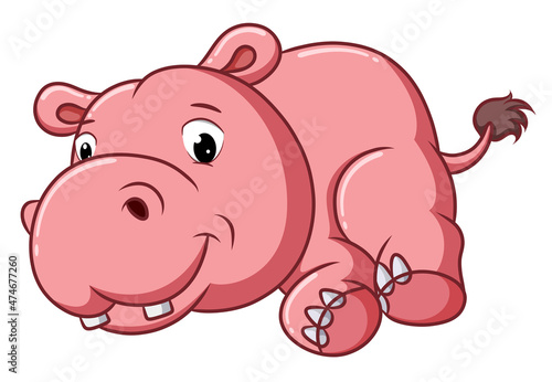 The big hippopotamus is lying down cutely