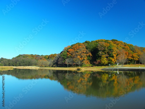 初冬の池と森のある朝の21世紀の森と広場風景