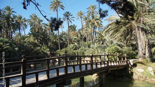 Puentes de madera del Parque el Palmeral en Alicante, con grandes zonas de lagunas con agua