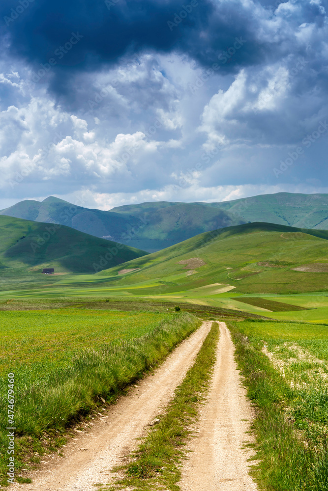 Fototapeta premium Piano Grande di Castelluccio, mountain and rural landscape
