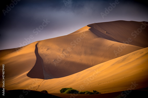Dunes of Namib Desert, Namibia
