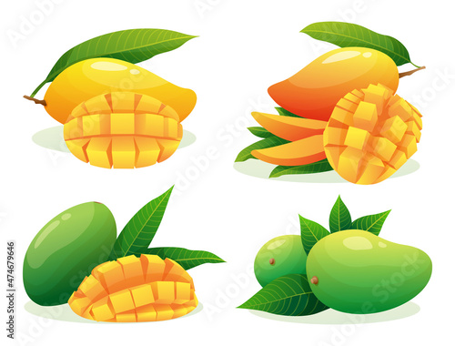 Set of various fresh mango fruits whole, half and cubic slices illustration isolated on white background