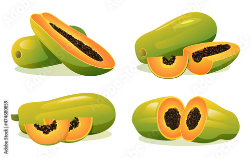 Set of fresh papaya whole, half and cut slice illustration isolated on white background