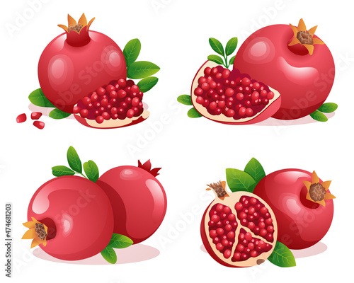 Fototapeta Naklejka Na Ścianę i Meble -  Set of fresh pomegranate whole, half and cut slice illustration isolated on white background