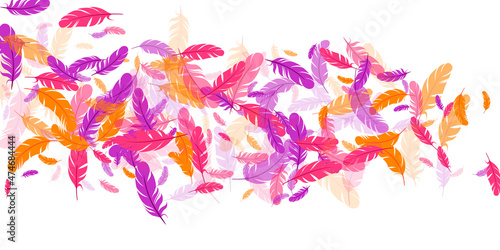 Orange purple pink red feather floating background
