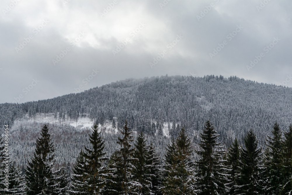 Fototapeta premium Schöne Winterlandschaft auf den Höhen des Thüringer Waldes bei Oberschönau - Thüringen
