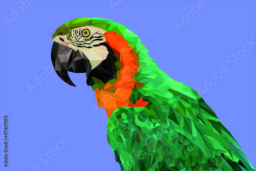Low poly parrot portrait – geometric macaw on blue background ¥¥
