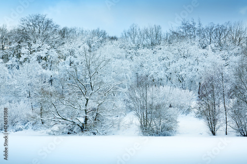 Winter landscape with snow covered trees .Christmas background.