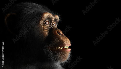 Foto Chimpanzee monkey face portrait on black