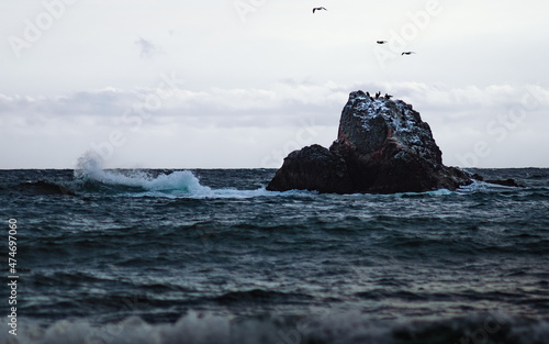 Photography of the rock in the sea. Birds sitting on the huge stone in the water. Beautiful seascape, view from the beach. Nature in Crimea.